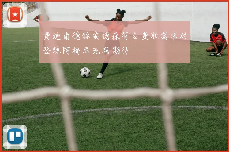 费迪南德称安德森符合曼联需求对签琼阿梅尼充满期待